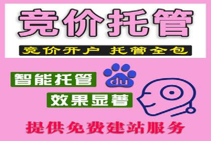 推广竞价实战经验：成功案例分享与启示